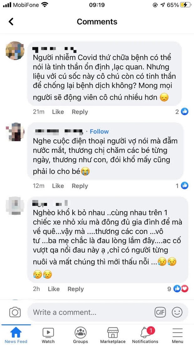 Vụ 15 con chó bị tiêu hủy ở Cà Mau: Chính quyền xã lên tiếng - Hình 3