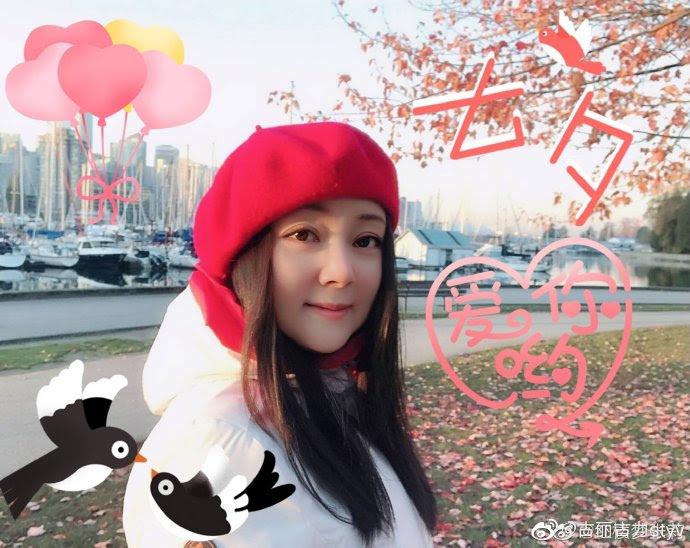 Trương Lợi Hồng Lâu Mộng bị đồn làm gái bao, rời khỏi Cbiz và cái kết ngỡ ngàng tuổi U60 - Hình 3