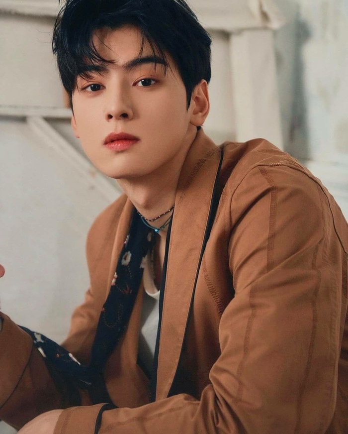 Cha Eun Woo RM BTS and a series of Korean stars are not only