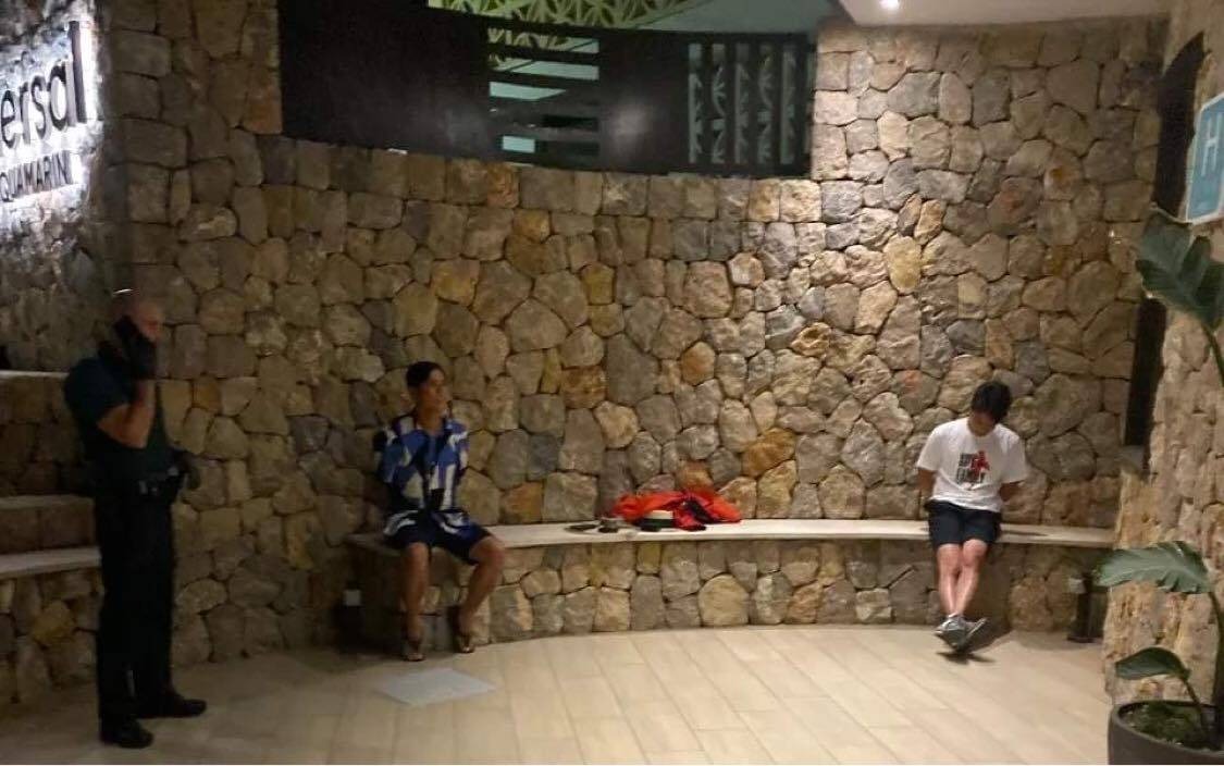 Hồ Hoài Anh, Hồng Đăng rơi vào dạng khủng hoảng kịch độc: Liên quan đến cả pháp lý và đạo lý - Hình 8