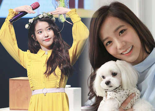 Jisoo (BLACKPINK), IU lọt top 5 thần tượng có nhân cách tốt nhất Kbiz - Hình 1