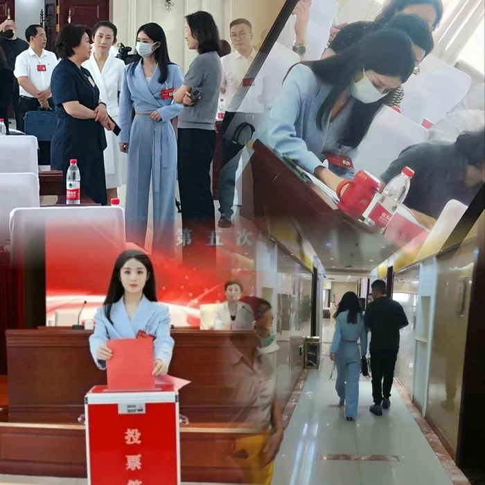 Triệu Lệ Dĩnh lên chức phó chủ tịch hiệp hội điện ảnh, phim mới đá bay Mộng Hoa Lục - Hình 2