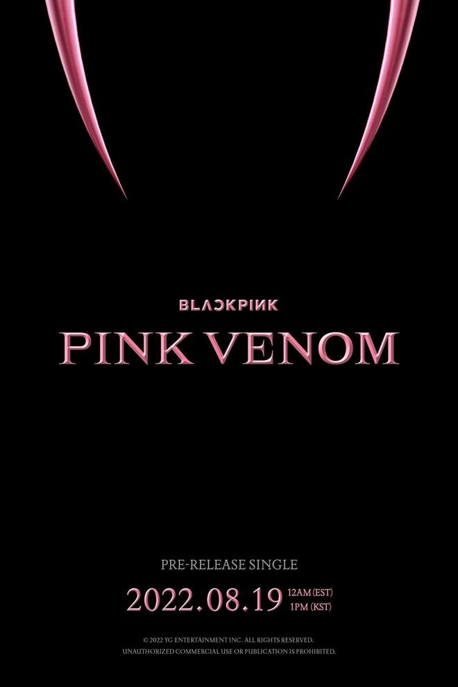 BLACKPINK officially released secret information about 'Pink Venom' on the 6th debut anniversary - Photo 1