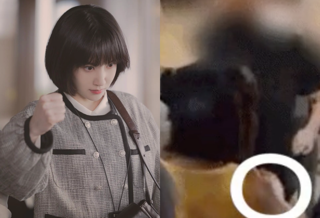 Park Eun Bin từng bị nghi ngờ phim giả tình thật với Yoo Seung Ho bởi mối nhân duyên đầy thú vị - Hình 8