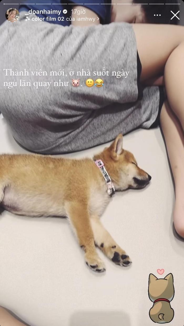 Doan Hai My no longer hides, publicly announces her new member, revealing her sons daily habits. - Photo 3