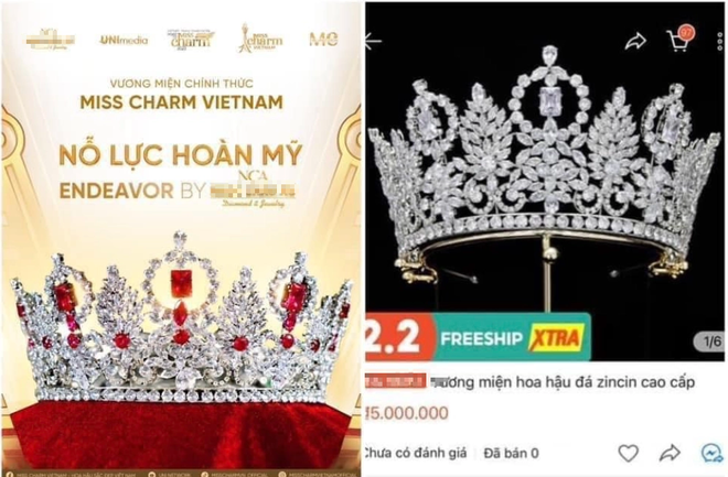 BTC MUVN xác nhận Ngọc Châu chưa tốt nghiệp Đại học, vương miện của Thanh Thanh Huyền bị tố đạo nhái - Hình 8
