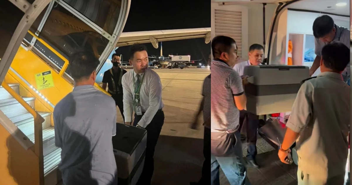 159 hành khách và toàn thể phi hành đoàn vui vẻ delay để chờ... một trái tim - Hình 7