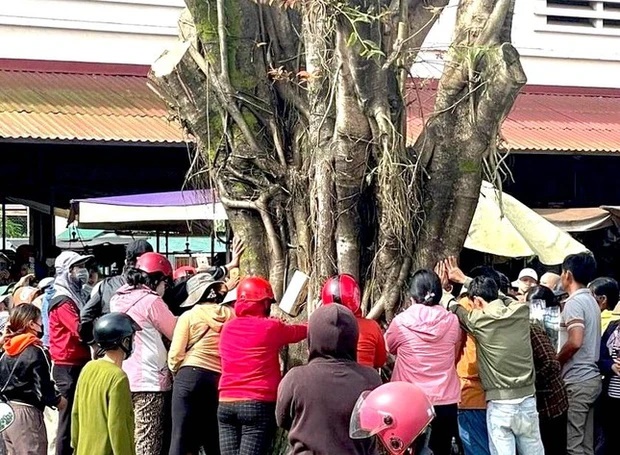 Xuất hiện mặt người...trên thân cây khiến dân tình đổ xô đến cầu nguyện, chính quyền khuyến cáo - Hình 3