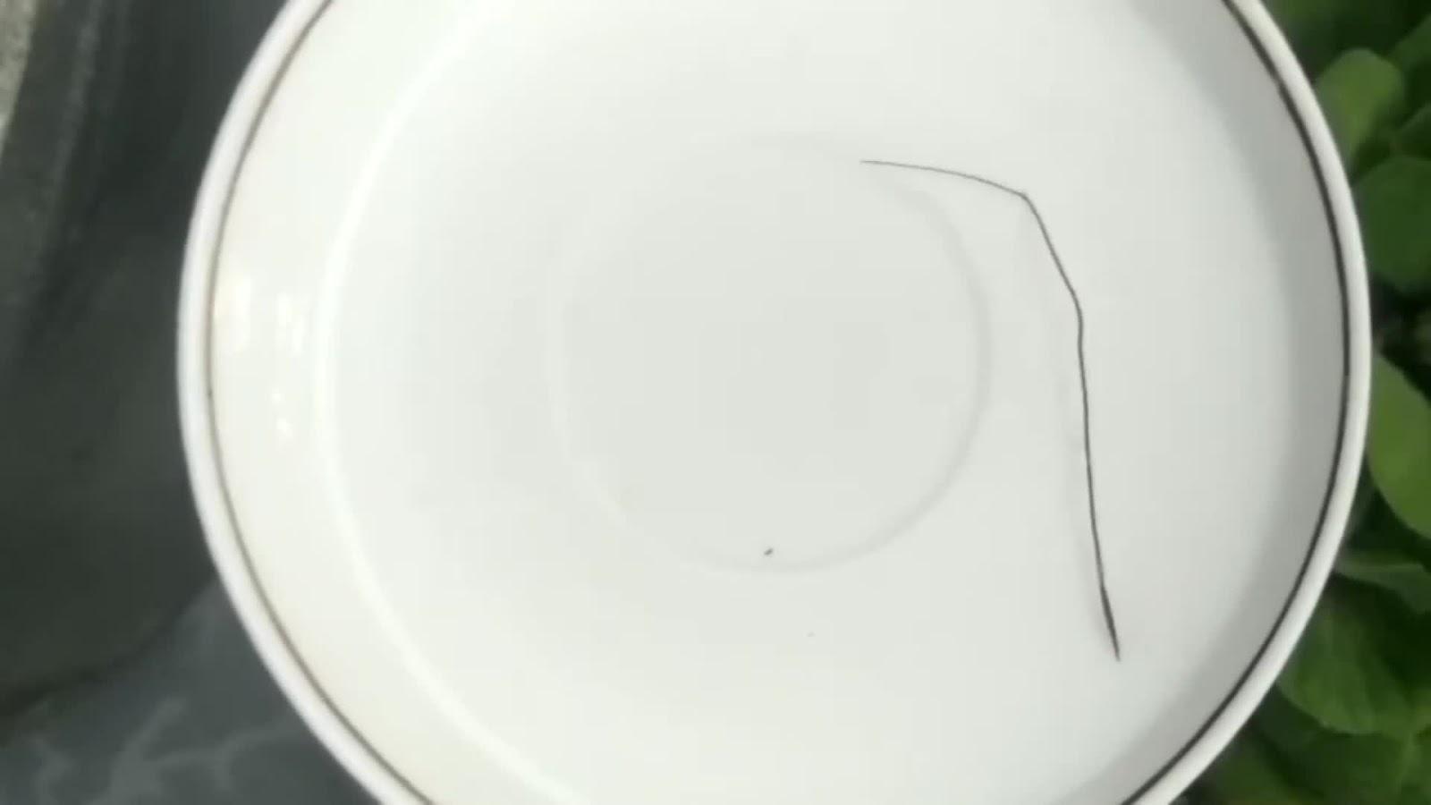 Cỏ Pili: Giống sợi tóc, bị nhầm là xá lợi Đức Phật, có thể vặn vẹo, nhảy múa - Hình 6