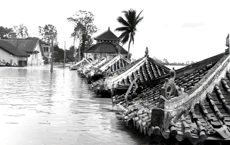 Is the scary legend Year of the Dragon, storms and floods true or not? - Photo 1