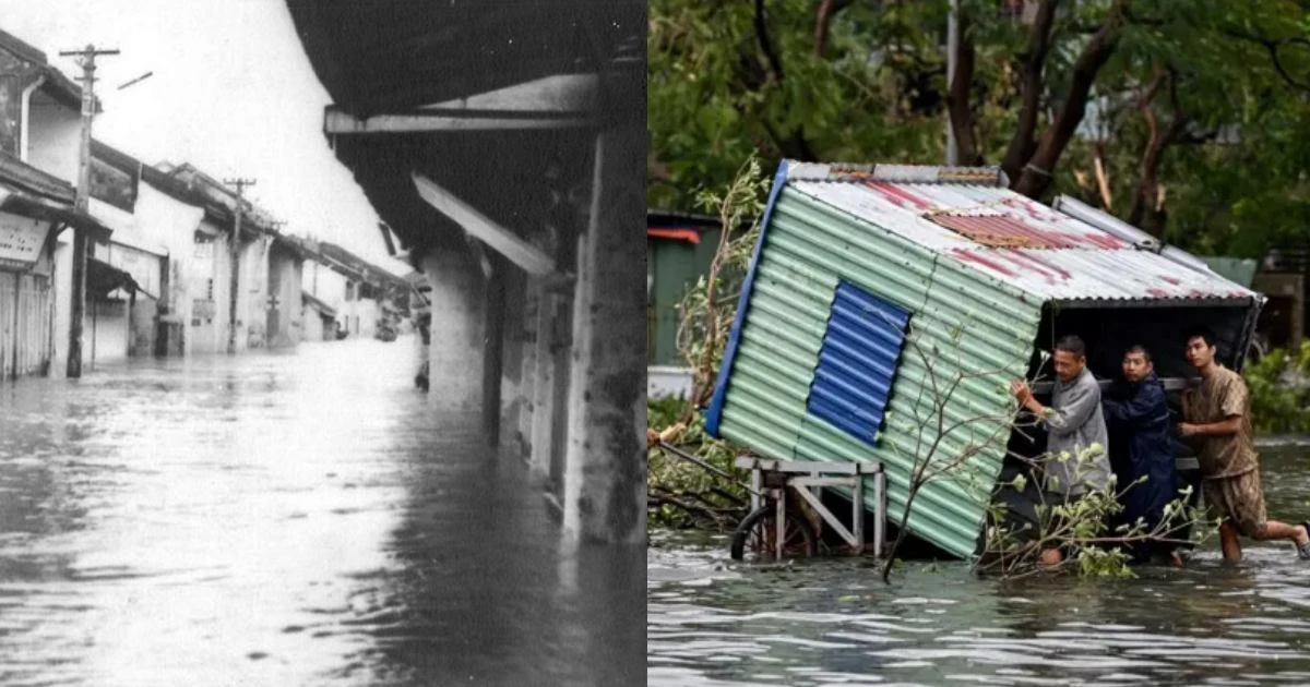 Is the scary legend Year of the Dragon, storms and floods true or not? - Photo 6