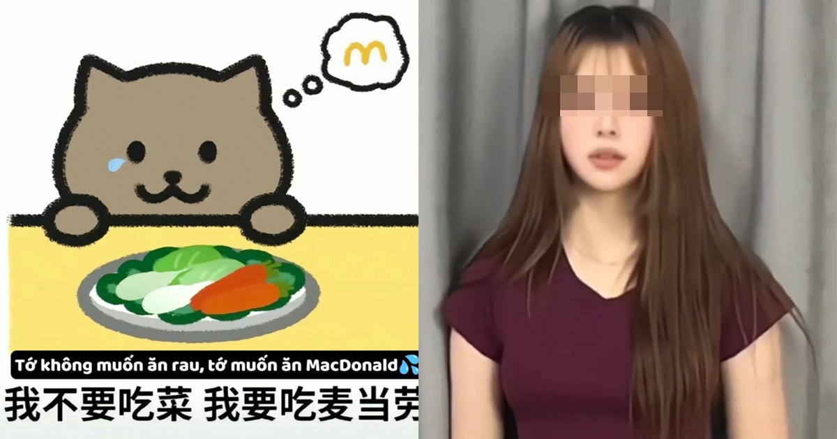 Vụ Mèo Béo ở Trung Quốc: Rộ clip Đàm Trúc lên tiếng xin lỗi, mong được tha thứ - Hình 12