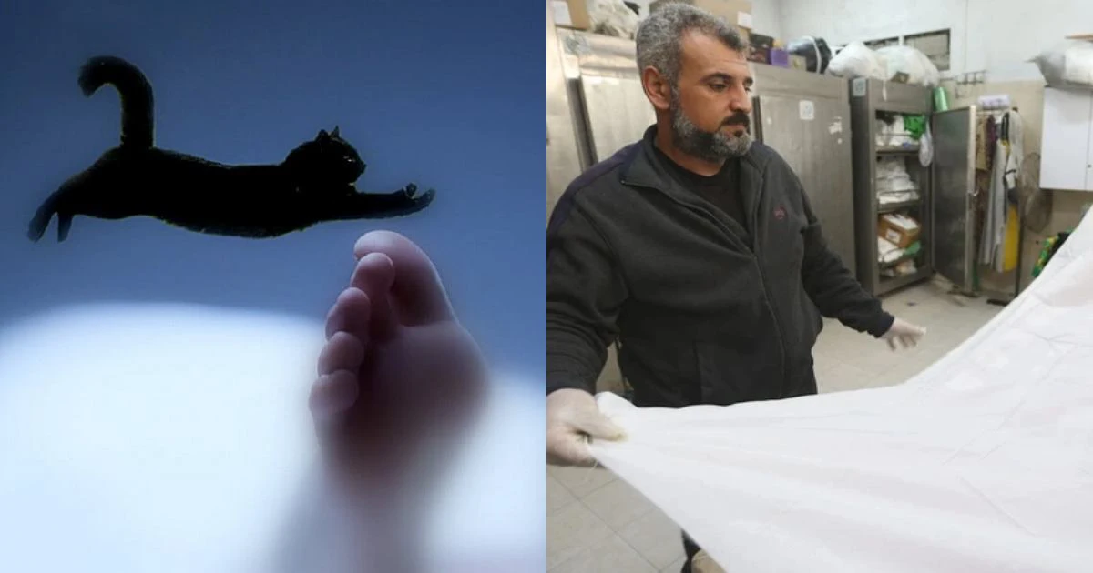 Why put a cloth on the face of the deceased, not let the black cat jump over? - Photo 7