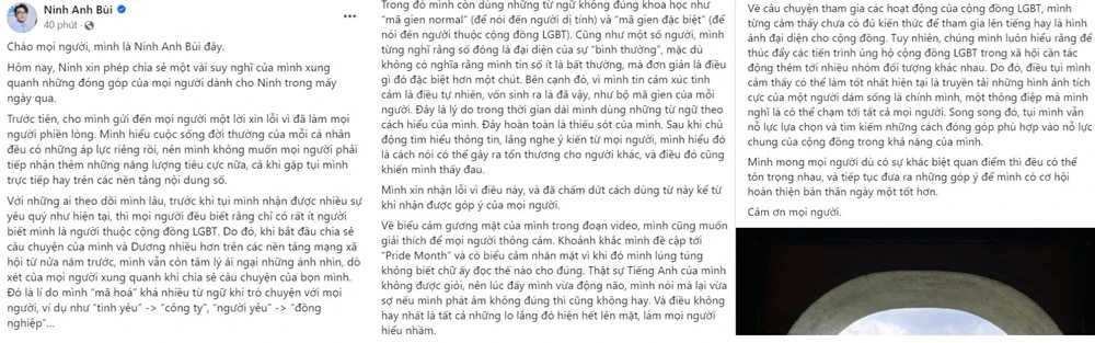 Tho Nguyen turned the car, declared quit fans, reacted harshly when Ninh Anh Bui apologized - Photo 2
