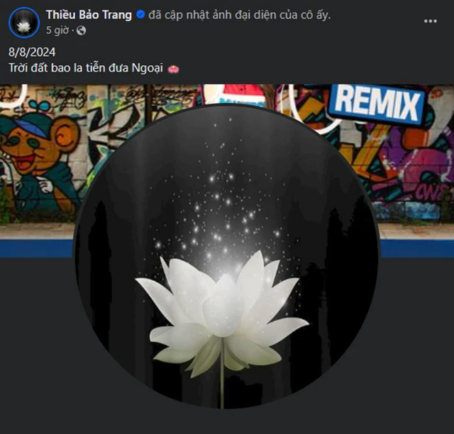 Thiều Bảo Trâm báo tin tang sự, showbiz bàng hoàng, Đàm Vĩnh Hưng nghẹn lòng - Hình 2