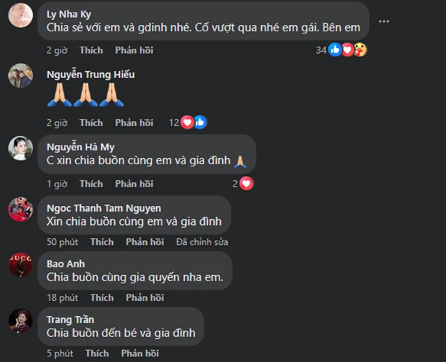 Thiều Bảo Trâm báo tin tang sự, showbiz bàng hoàng, Đàm Vĩnh Hưng nghẹn lòng - Hình 5