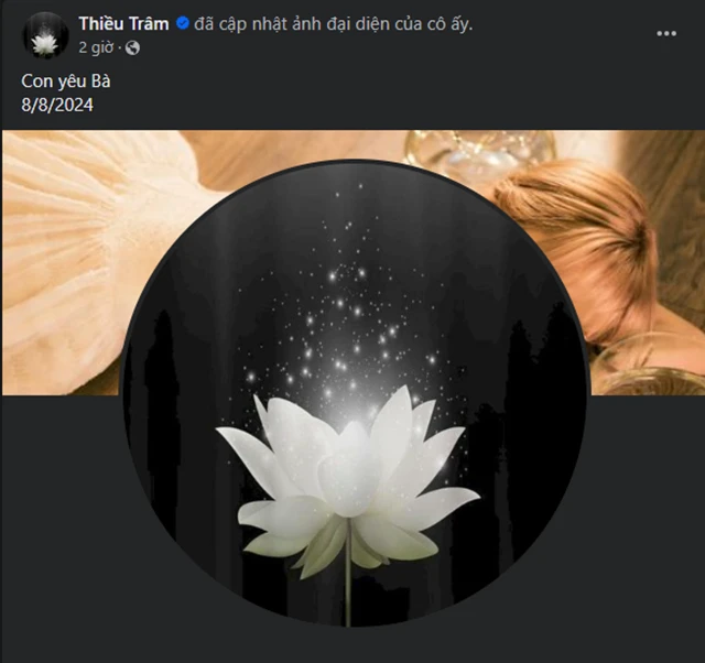 Thiều Bảo Trâm báo tin tang sự, showbiz bàng hoàng, Đàm Vĩnh Hưng nghẹn lòng - Hình 3