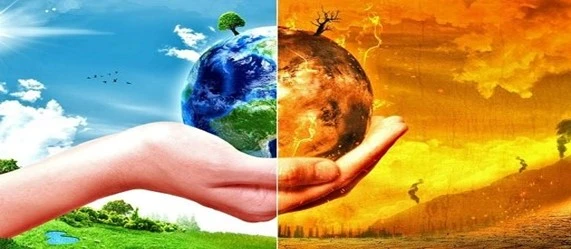Bà Vanga tiên tri trúng phóc về bão Yagi, biển Đông sắp tiếp tục có thêm bão? - Hình 2