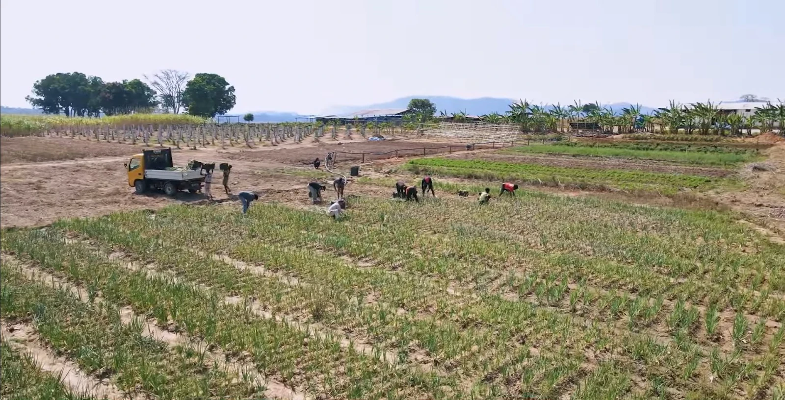 Quang Linh bị thâu tóm hết tài sản, chẳng còn gì trong tay, tin được không? - Hình 1