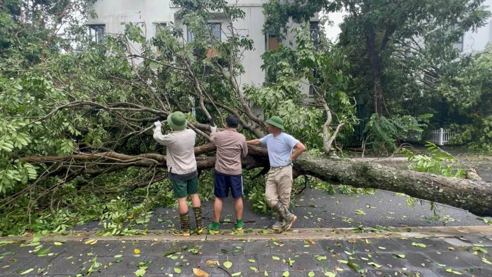 Xuan Bac went to the street to clean up with his 2 children after Typhoon Yagi, doing something that everyone appreciated - Photo 1