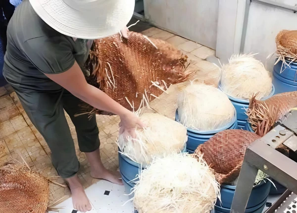 Bóc trần đường dây giá đỗ bẩn: Ôm trọn cả Bách Hóa Xanh, ung thư cận kề? - Hình 1