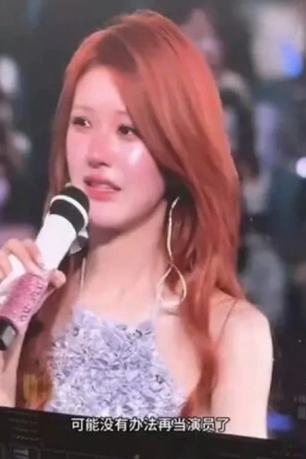 Trieu Lo Tu cried at the concert, admitted that he once wanted to retire, revealing that he had set up his own company? - Photo 4