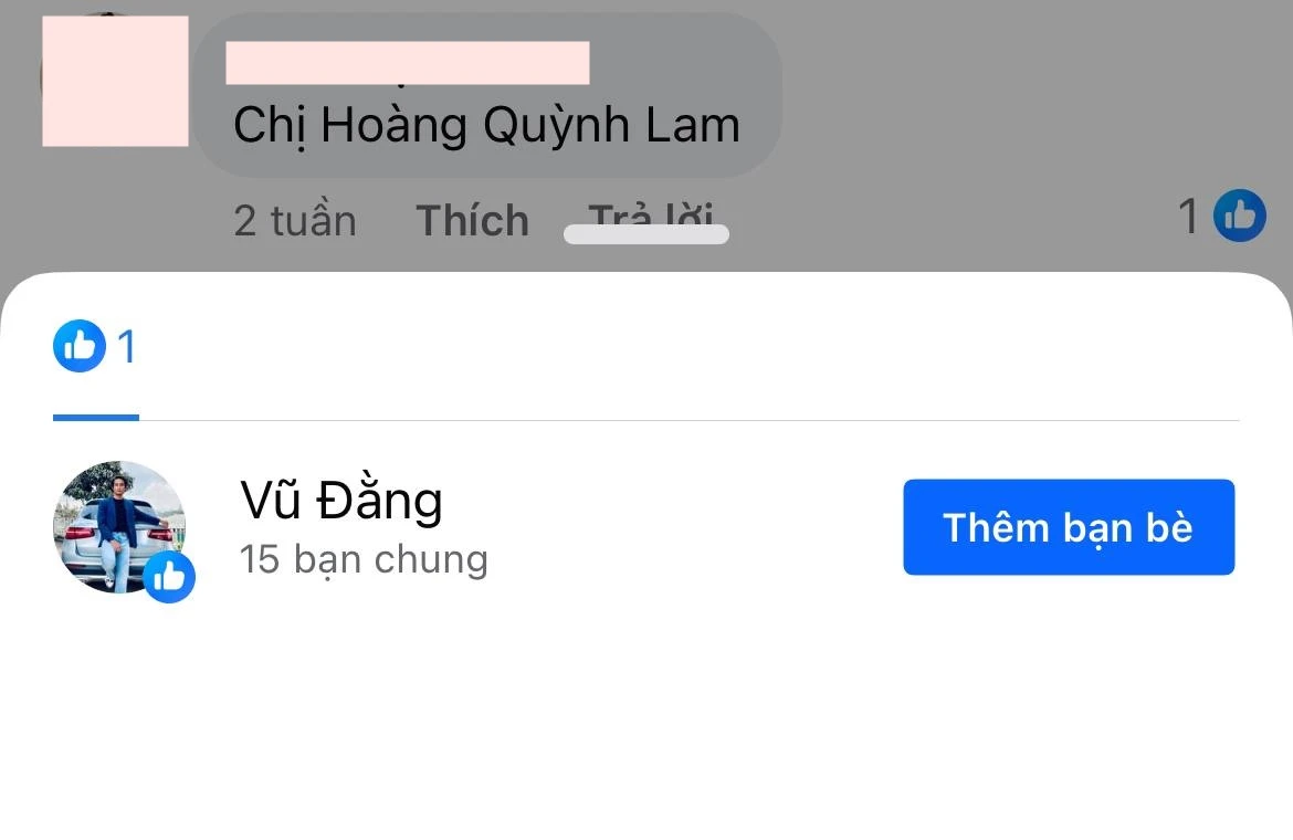 Vũ Đằng tình tin đồn của Quỳnh Lam, khổ sở vì 'kết đôi' cùng Mỹ Duyên ...