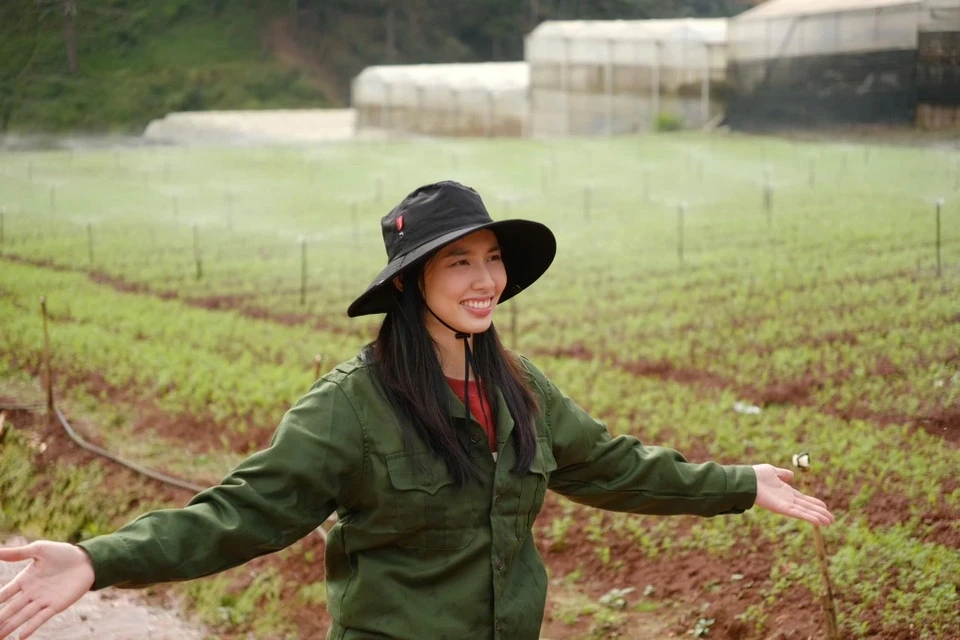 Thùy Tiên tung hỏa mù để drama kẹo rau chìm, 1 nàng hậu bị réo tên noi gương - Hình 5