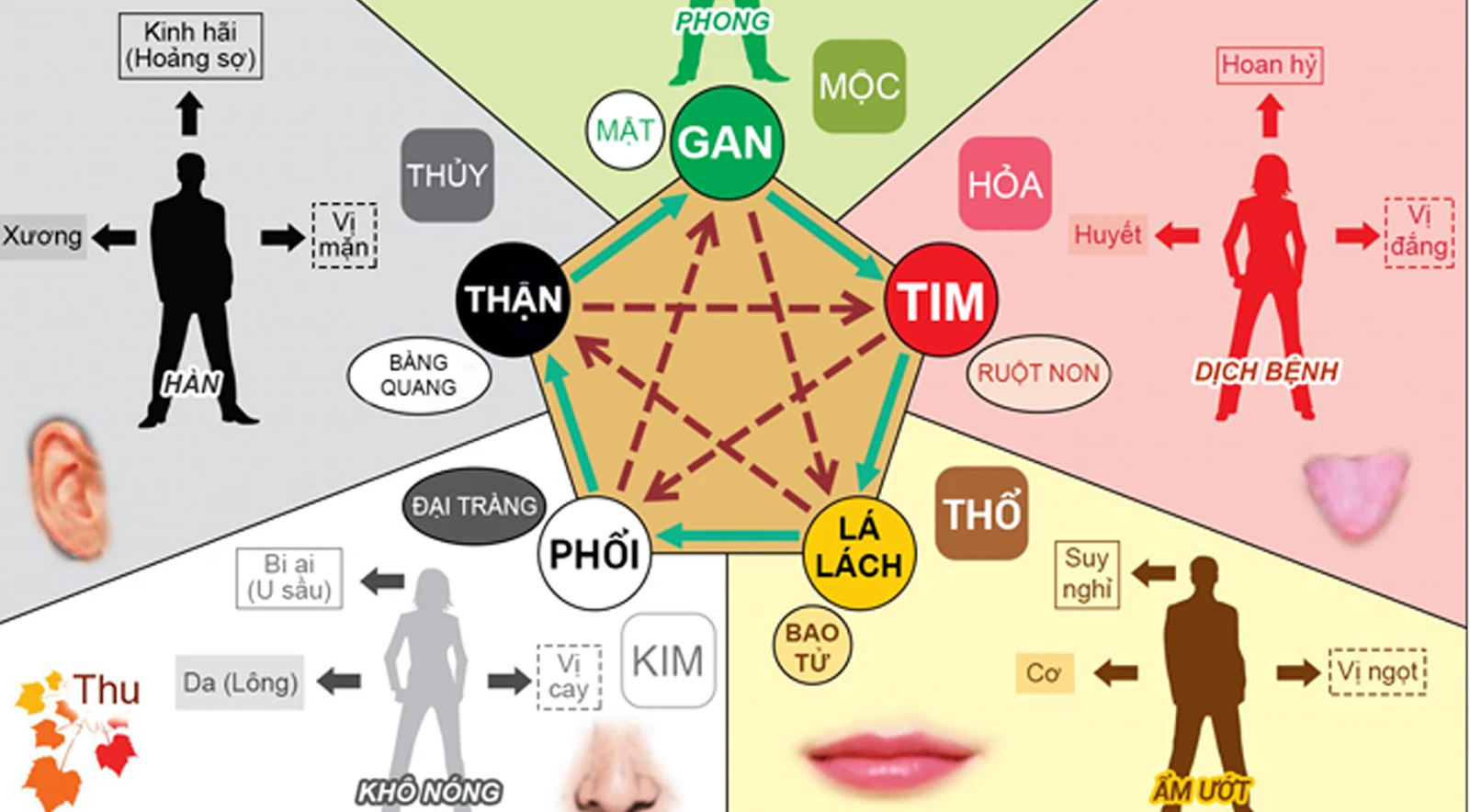 Họ hiếm ở Trung Quốc có nguồn gốc cao siêu, ngày nay không ai dám giữ, vì sao? - Hình 5