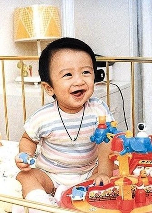 Tạ Đình Phong: Từ đỉnh danh vọng, xuống đáy sau cuộc hôn nhân với Trương Bá Chi - Hình 2